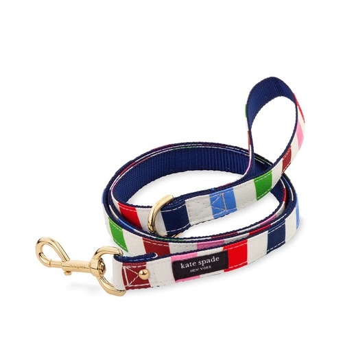 KSNY Leash (S/M), Adventure Stripe