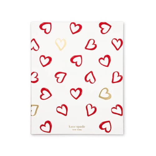 KSNY Concealed Spiral Notebook,  Brushstroke Hearts