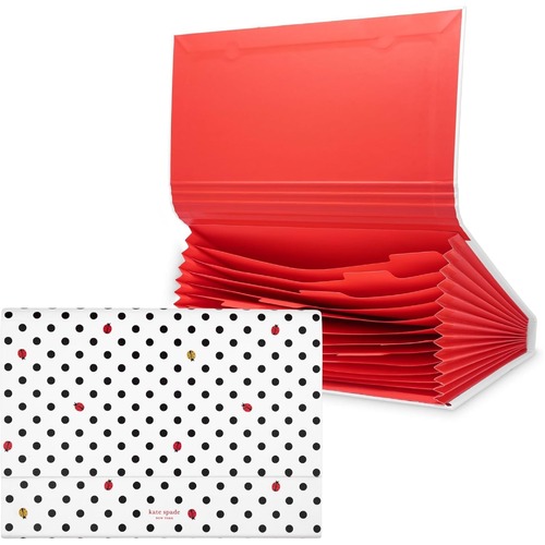 KSNY Accordion File Holder, Ladybug Dot