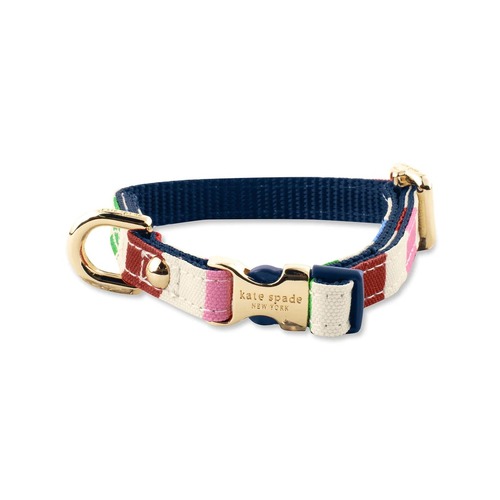 KSNY X-Small Dog Collar, Adventure Stripe